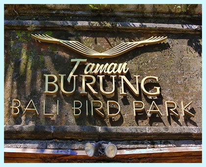 Bali Bird Park